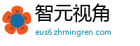 智元视角